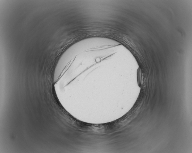 X0000111920317200909071223