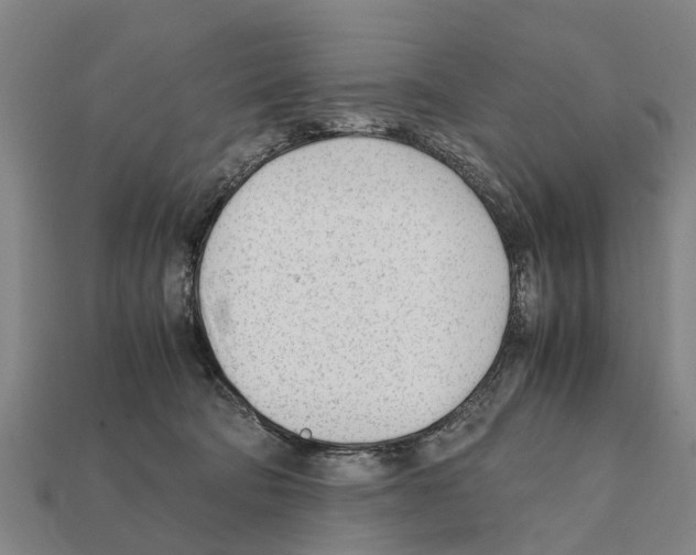 X0000111920322200909071223