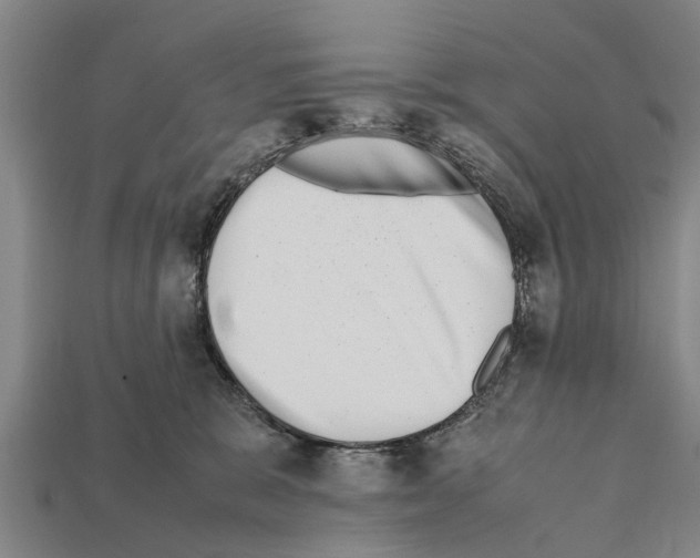 X0000111920327200909071223