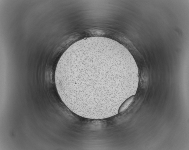 X0000111920330200909071223