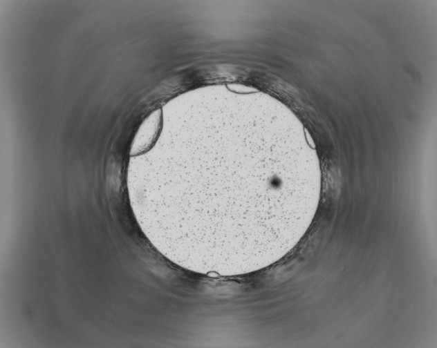 X0000111920331200909071223