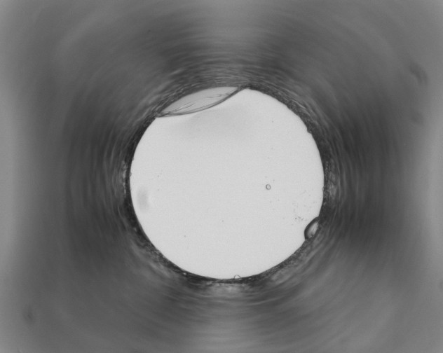 X0000111920332200909071223