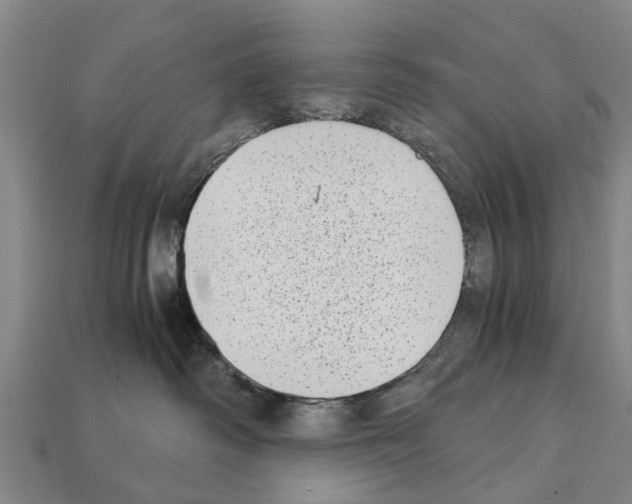 X0000111920334200909071223