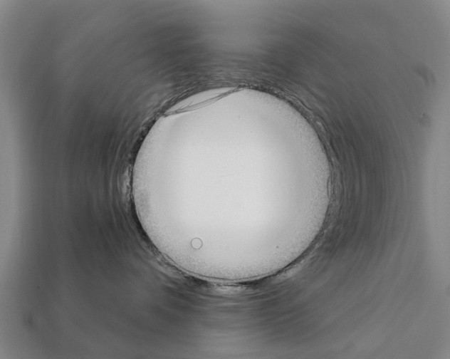 X0000111920336200909071223