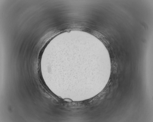 X0000111920338200909071222