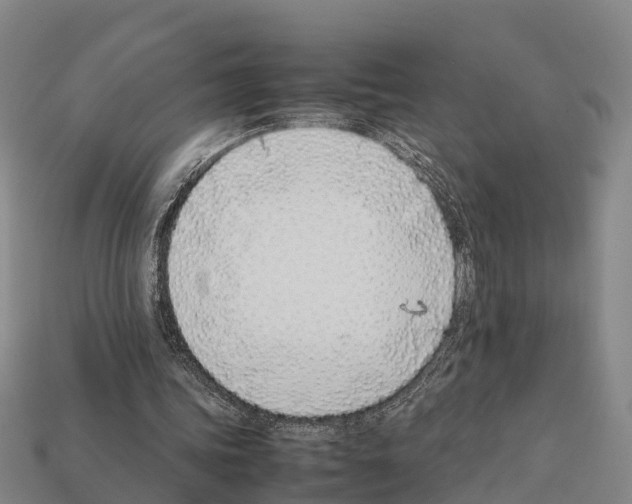 X0000111920339200909071222