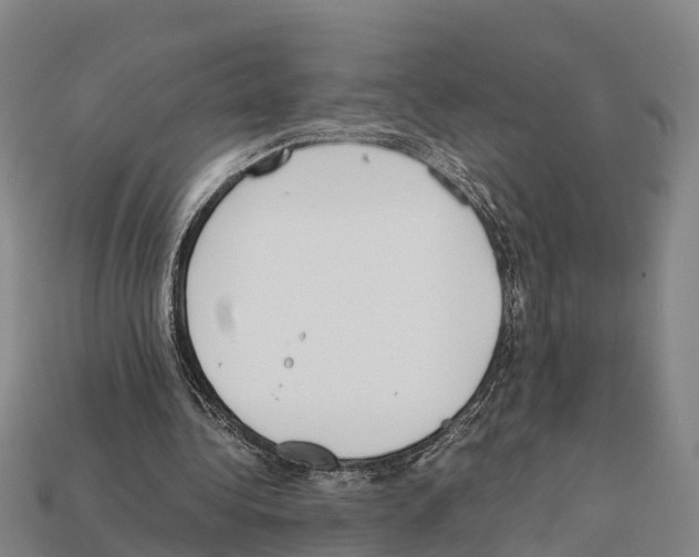 X0000111920340200909071222