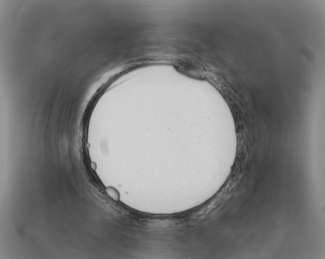 X0000111920342200909071222