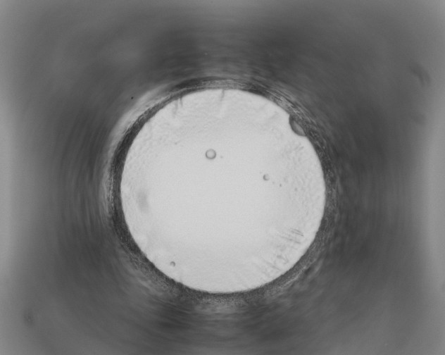 X0000111920343200909071222