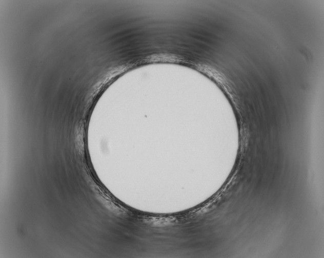 X0000111920345200909071222