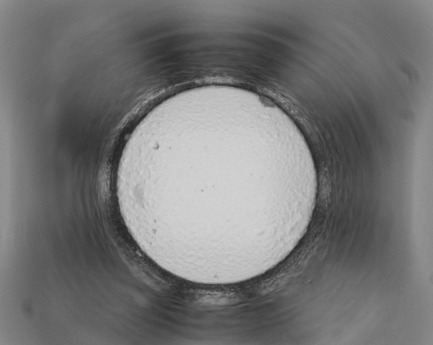 X0000111920347200909071222