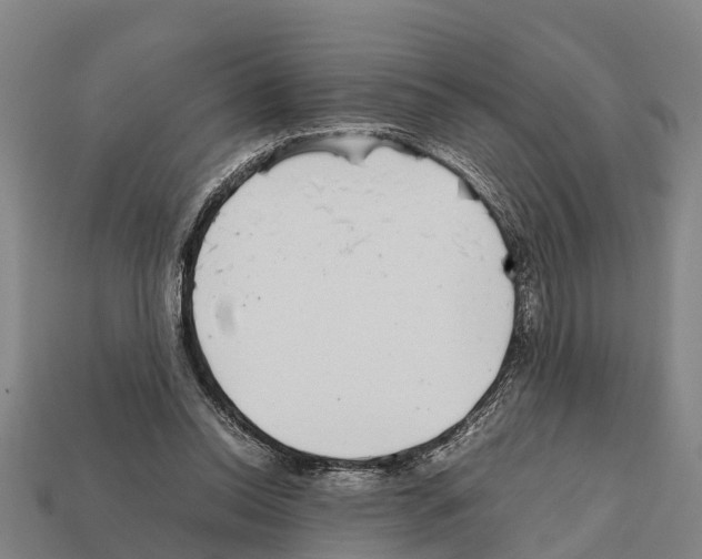 X0000111920350200909071222