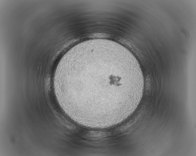 X0000111920351200909071222