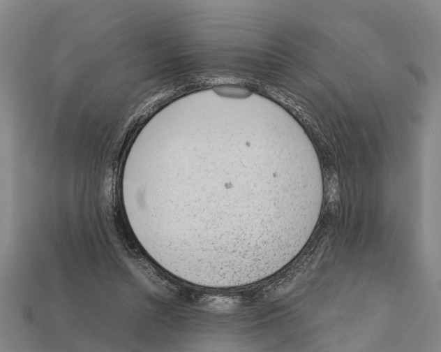 X0000111920352200909071222