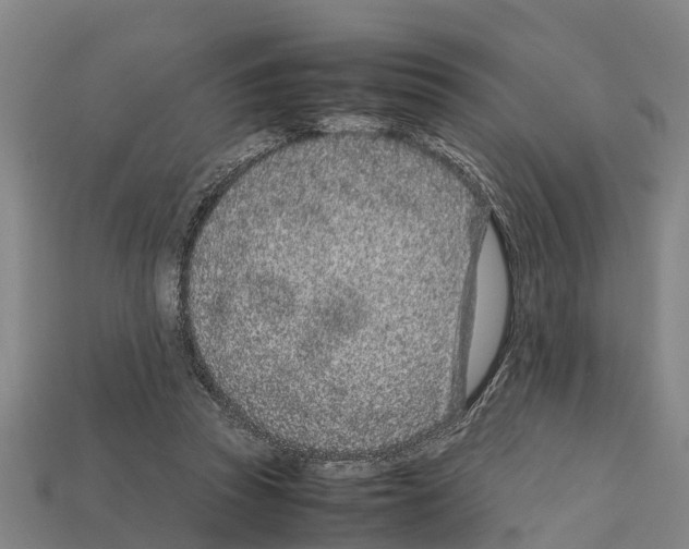 X0000111920353200909071222