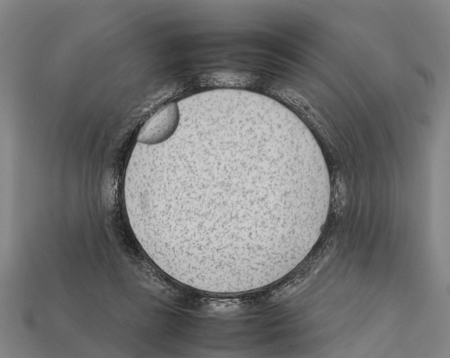 X0000111920355200909071222