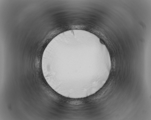 X0000111920357200909071222