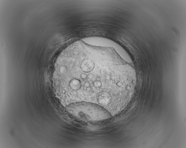 X0000111920359200909071222