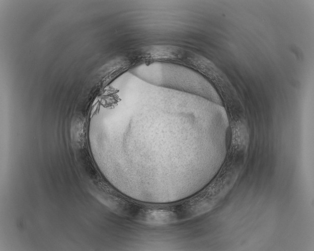 X0000111920360200909071222