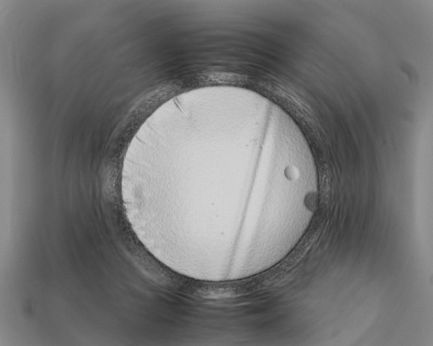 X0000111920361200909071222