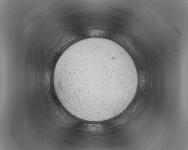 X0000111920363200909071222