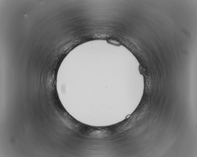 X0000111920364200909071222