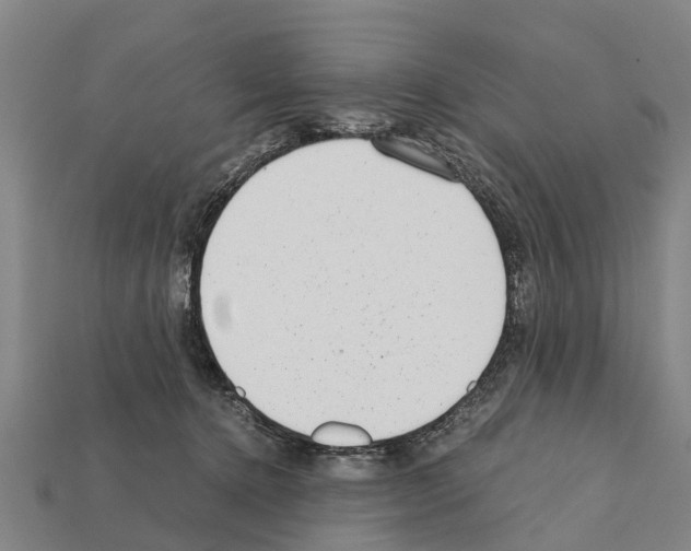 X0000111920368200909071222