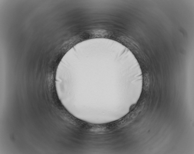 X0000111920369200909071222