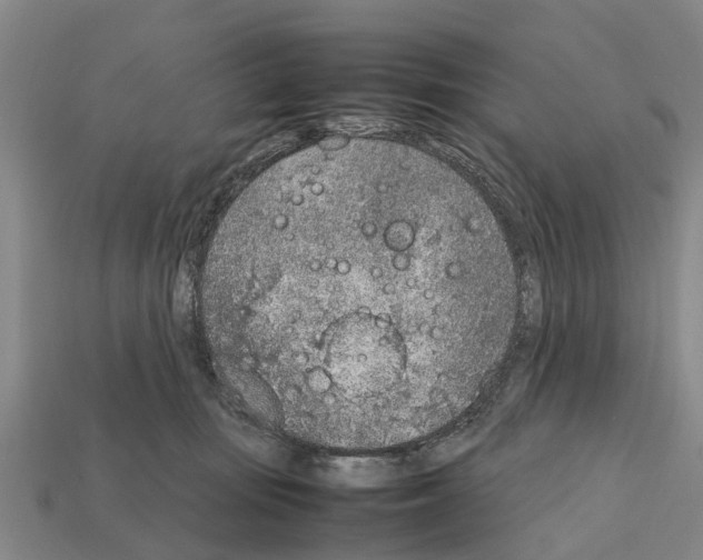 X0000111920371200909071222