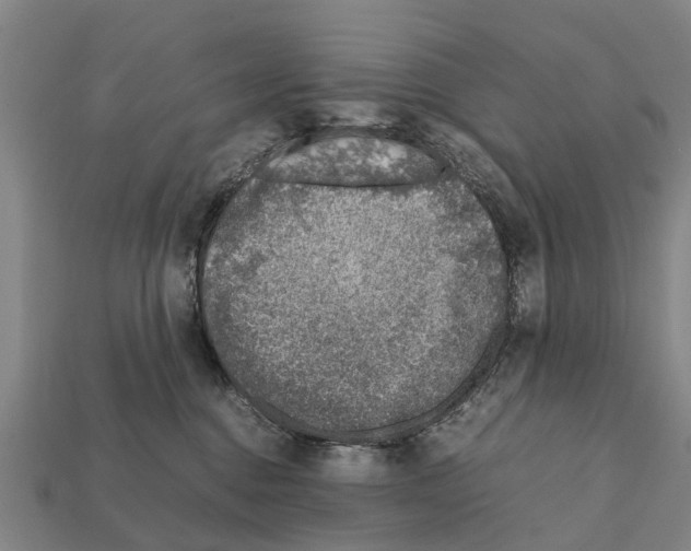 X0000111920376200909071222