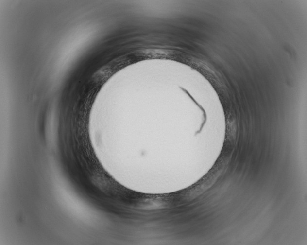 X0000111920381200909071223