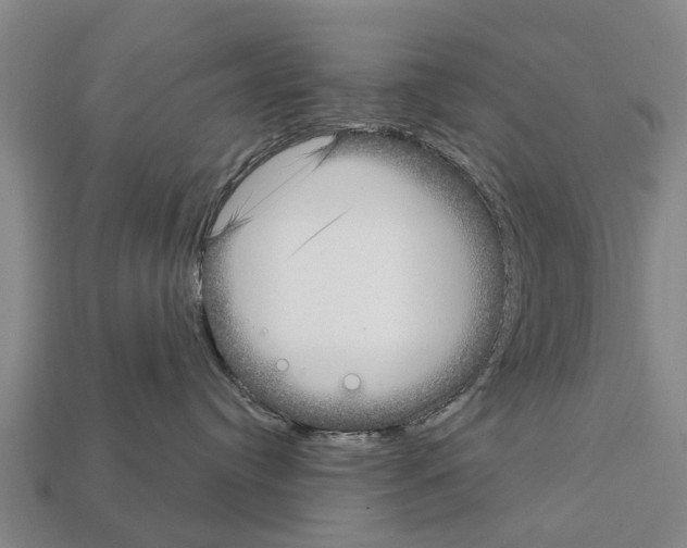 X0000111920384200909071223