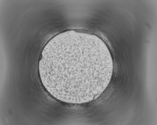 X0000111920385200909071222