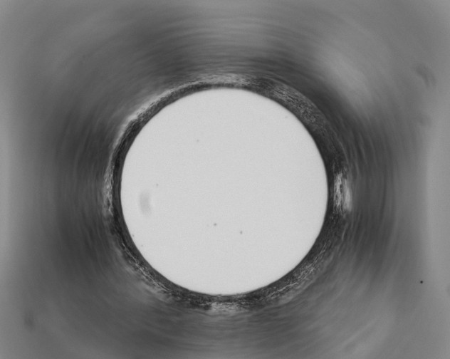 X0000111920388200909071222