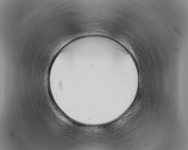 X0000111920389200909071222