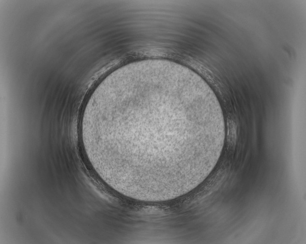 X0000111920390200909071222