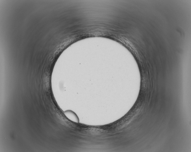 X0000111920393200909071222