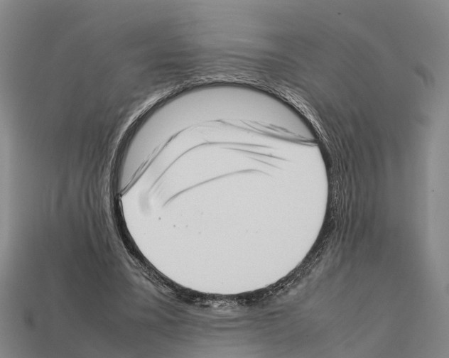 X0000111920395200909071222