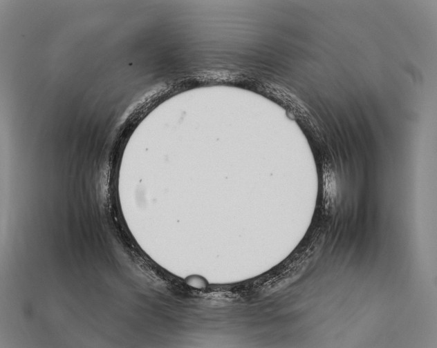 X0000111920396200909071222