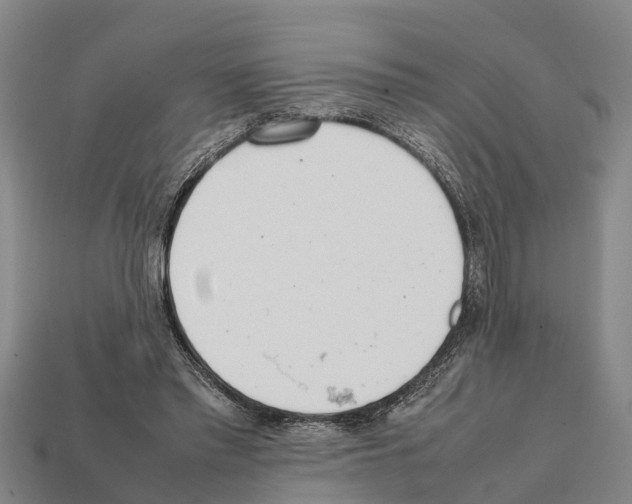 X0000111920397200909071222