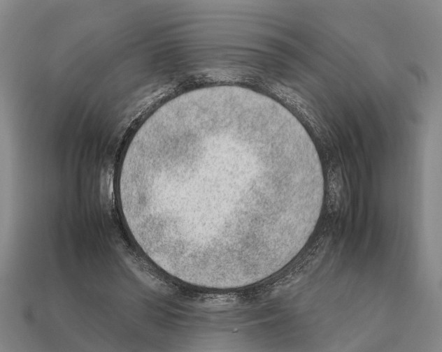 X0000111920398200909071222