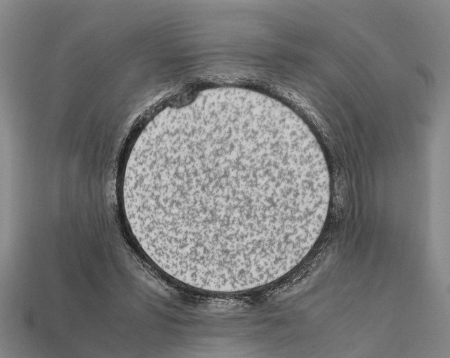 X0000111920399200909071222