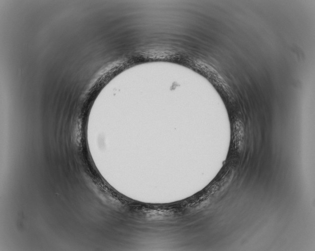 X0000111920400200909071222