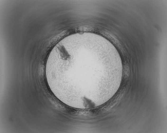 X0000111920401200909071222