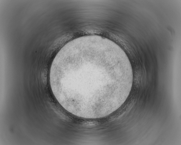 X0000111920402200909071222