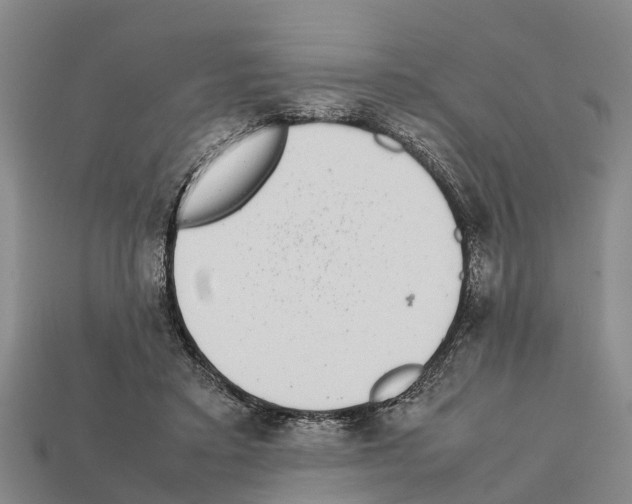 X0000111920403200909071222