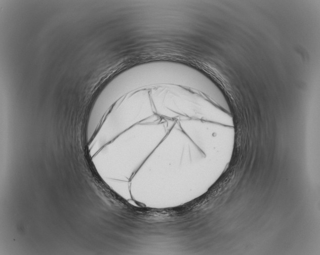 X0000111920405200909071222