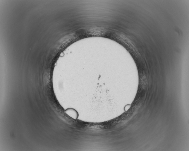 X0000111920407200909071222