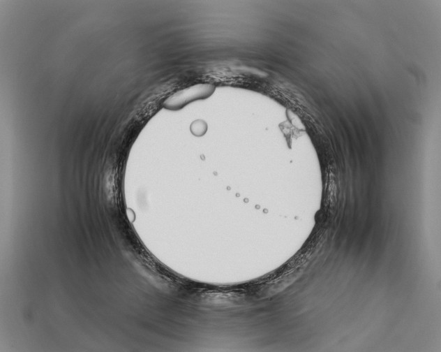 X0000111920408200909071222