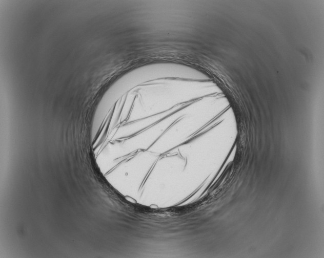 X0000111920411200909071222